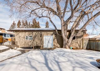 Photo 44: 1604 21A Street NW in Calgary: Hounsfield Heights/Briar Hill Detached for sale : MLS®# A2032588