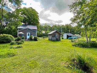 Photo 3: 1215 Hamilton Road in Harbourville: Kings County Residential for sale (Annapolis Valley)  : MLS®# 202212262