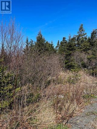 Photo 3: 5-7 Farewells Road in Creston: Vacant Land for sale : MLS®# 1264029
