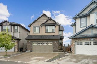 Main Photo: 131 Skyview Point Road NE in Calgary: Skyview Ranch Detached for sale : MLS®# A2134650
