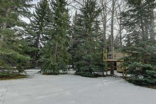 Photo 49: 31245 Elbow River Drive in Rural Rocky View County: Rural Rocky View MD Detached for sale : MLS®# A2089690