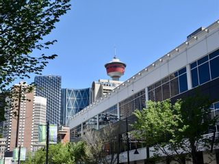 Photo 30: 1903 135 13 Avenue SW in Calgary: Beltline Apartment for sale : MLS®# C4299859