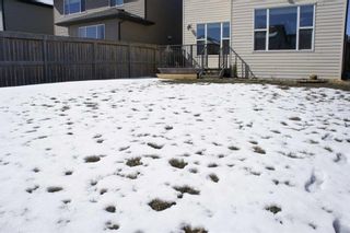 Photo 37: 1217 Brightoncrest Common SE in Calgary: New Brighton Detached for sale : MLS®# A2120372