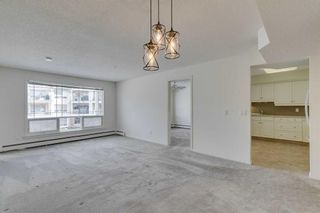 Photo 15: 218 9449 19 Street SW in Calgary: Palliser Apartment for sale : MLS®# A2123974