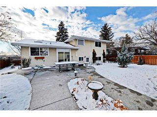 Photo 22: 5924 LEWIS Drive SW in Calgary: Lakeview House for sale : MLS®# C4040273