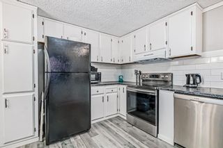 Photo 9: 164 6724 17 Avenue SE in Calgary: Red Carpet Mobile for sale : MLS®# A2020177