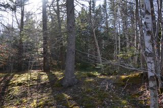 Photo 4: Lot Ridge Road in Hillgrove: Digby County Vacant Land for sale (Annapolis Valley)  : MLS®# 202108522