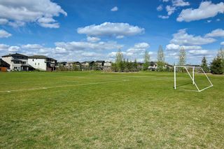 Photo 41: 912 Walden Drive SE in Calgary: Walden Row/Townhouse for sale : MLS®# A2040124
