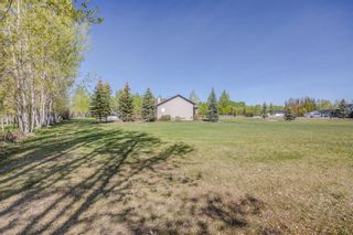 Photo 12: 292191 Butte Hills Drive in Rural Rocky View County: Rural Rocky View MD Detached for sale : MLS®# A2049030
