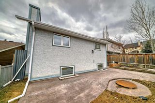 Photo 30: 23 Sanderling Rise NW in Calgary: Sandstone Valley Detached for sale : MLS®# A2117553