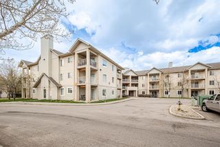 Photo 26: 113 3000 Citadel Meadow Point NW in Calgary: Citadel Apartment for sale : MLS®# A1215450