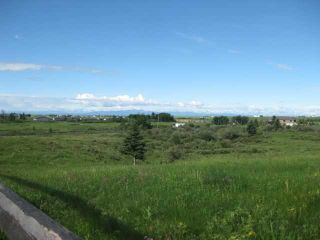 Photo 10: 12 KMS NORTH ON COCHRANE in COCHRANE: Rural Rocky View MD Rural Land for sale : MLS®# C3526638