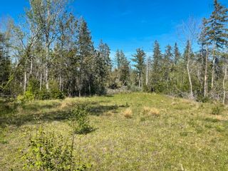 Photo 20: 4881 River John Road in Scotch Hill: 108-Rural Pictou County Residential for sale (Northern Region)  : MLS®# 202311885
