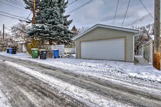 Photo 34: 14 Cornell Road NW in Calgary: Cambrian Heights Detached for sale : MLS®# A2090560