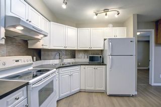 Photo 11: 302 2000 Applevillage Court in Calgary: Applewood Park Apartment for sale : MLS®# A1228911