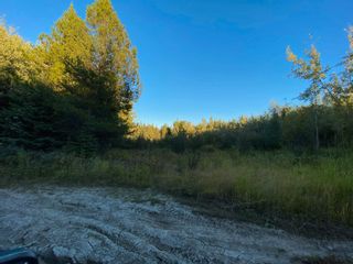 Photo 29: BLOCK D DL7872 TAKLA FOREST Road in Prince George: Reid Lake Land for sale in "McPhee Road" (PG Rural North)  : MLS®# R2768066