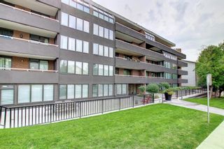 Photo 3: 201 511 56 Avenue SW in Calgary: Windsor Park Apartment for sale : MLS®# A1257739