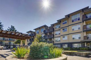 Photo 1: 116 2565 CAMPBELL Avenue in Abbotsford: Central Abbotsford Condo for sale in "Abacus" : MLS®# R2487241