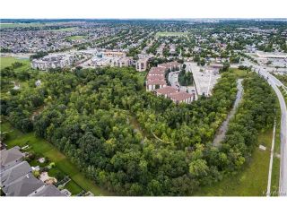 Photo 20: 14 Bridgetown Drive in Winnipeg: Royalwood Residential for sale (2J)  : MLS®# 1700398