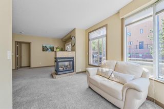 Photo 12: 201 1800 14A Street SW in Calgary: Bankview Apartment for sale : MLS®# A1251125