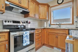Photo 14: 15 Rowell Close: Red Deer Semi Detached (Half Duplex) for sale : MLS®# A2114243