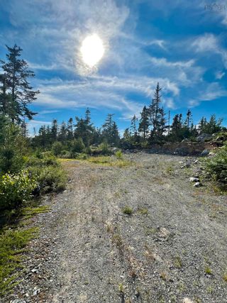 Photo 9: No 3 Highway in Walls Lake: 407-Shelburne County Vacant Land for sale (South Shore)  : MLS®# 202217944