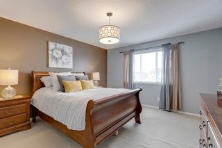 Photo 27: 28 Elgin View SE in Calgary: McKenzie Towne Detached for sale : MLS®# A1226665