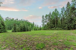 Photo 45: 13 Alder Green Close: Rural Clearwater County Detached for sale : MLS®# A2053680