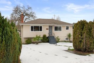 Photo 17: 4048 Cedar Hill Cross Rd in Saanich: SE Lake Hill House for sale (Saanich East)  : MLS®# 866595