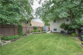 Photo 16: 337 Larche Crescent in Winnipeg: East Transcona Residential for sale (3M)  : MLS®# 1721126