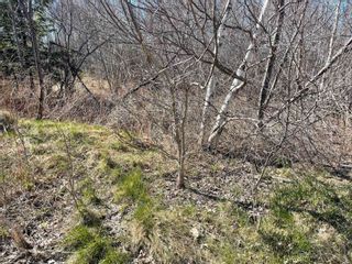 Photo 12: Lot 35 Bradley Road in Maclellan's Brook: 108-Rural Pictou County Vacant Land for sale (Northern Region)  : MLS®# 202307508