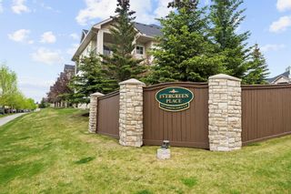 Photo 24: 1225 2371 Eversyde Avenue SW in Calgary: Evergreen Apartment for sale : MLS®# A2052077