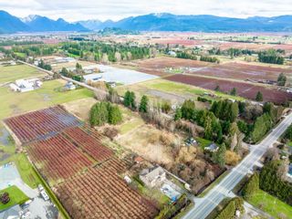 Photo 13: 18783 OLD DEWDNEY TRUNK RD Road in Pitt Meadows: North Meadows PI House for sale : MLS®# R2643578