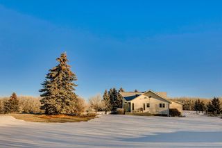 Photo 6: 290005 144 Street W: Rural Foothills County Detached for sale : MLS®# A2041812