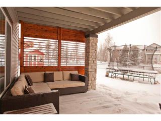 Photo 31: 250 CHAPARRAL RAVINE View SE in Calgary: Chaparral House for sale : MLS®# C4044317