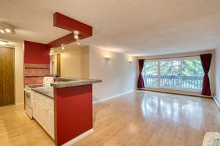 Photo 7: 308 816 89 Avenue SW in Calgary: Haysboro Apartment for sale : MLS®# A1228379