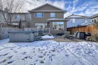 Photo 46: 7 Autumn Place SE in Calgary: Auburn Bay Detached for sale : MLS®# A1183941