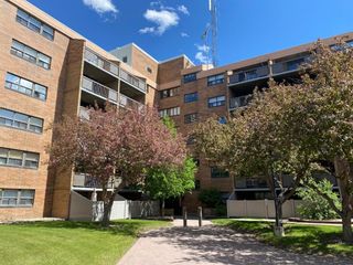Main Photo: 319 30 Mchugh Court NE in Calgary: Mayland Heights Apartment for sale : MLS®# A2139494