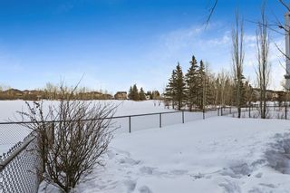 Photo 44: 404 Crystal Green Manor: Okotoks Detached for sale : MLS®# A2022978