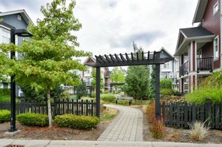 Photo 21: 51-20852 77A Avenue in Langley: Willoughby Heights Townhouse for sale : MLS®# R2612333