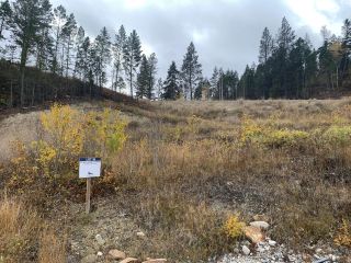 Photo 2: Lot 16 - 6200 COLUMBIA LAKE ROAD in Fairmont Hot Springs: Vacant Land for sale : MLS®# 2468091