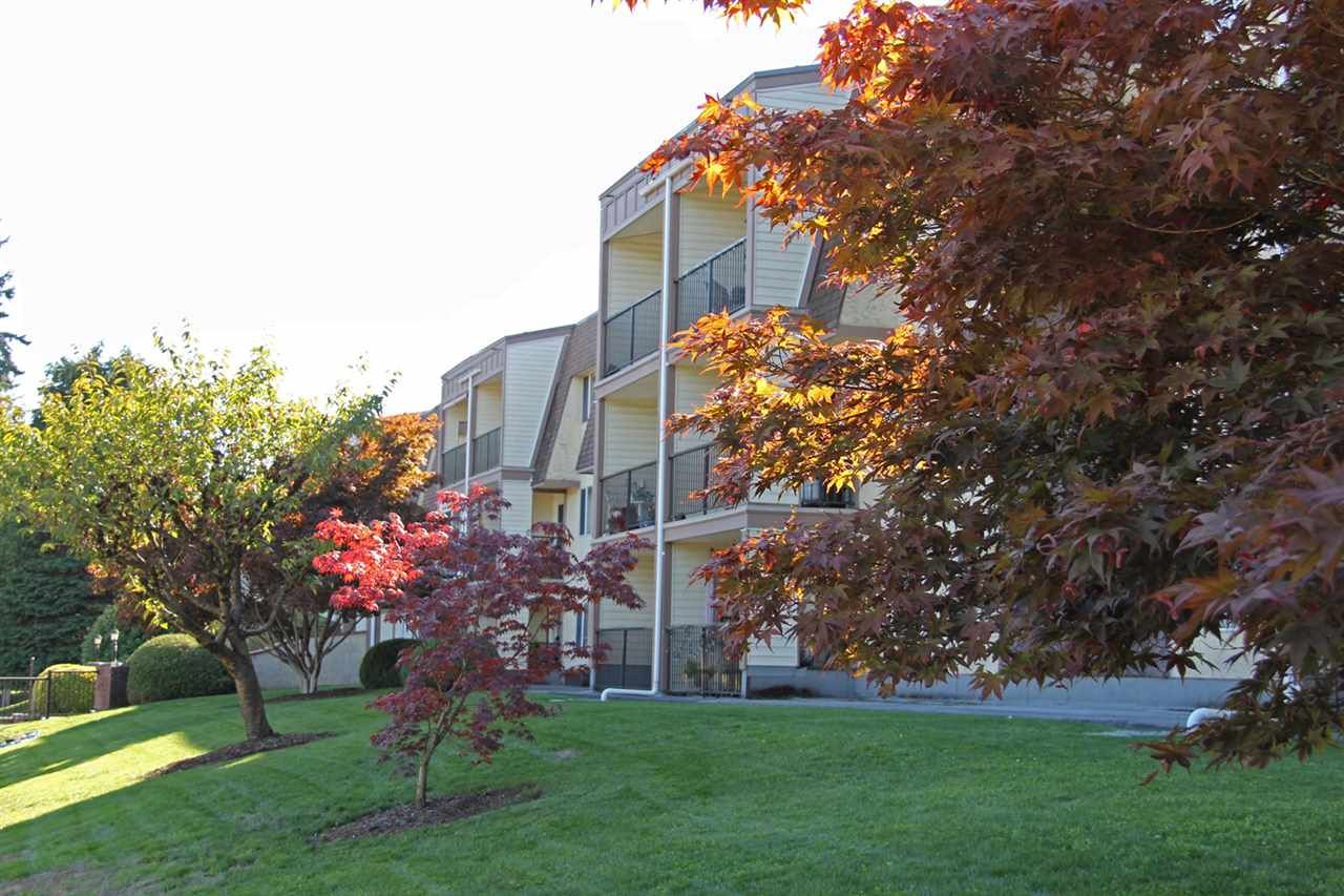 Main Photo: 109 2821 TIMS Street in Abbotsford: Abbotsford West Condo for sale in "Parkview Estates" : MLS®# R2212181