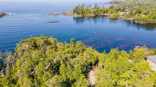 Photo 12: 392 Reef Point Rd in Ucluelet: PA Ucluelet Land for sale (Port Alberni)  : MLS®# 912992