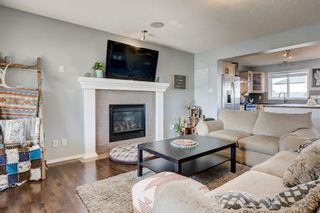 Photo 4: 164 Copperfield Manor SE in Calgary: Copperfield Detached for sale : MLS®# A1161054