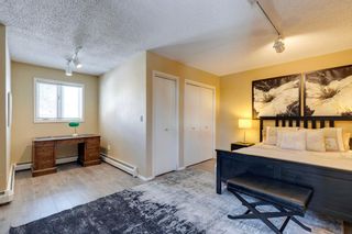 Photo 28: 568 Coach Grove Road SW in Calgary: Coach Hill Detached for sale : MLS®# A2046756