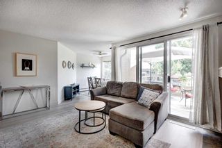 Photo 3: 4 108 Village Heights SW in Calgary: Patterson Apartment for sale : MLS®# A2064221