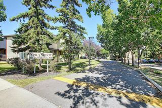Photo 29: 58 380 BERMUDA Drive NW in Calgary: Beddington Heights Row/Townhouse for sale : MLS®# A1026855
