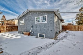Photo 44: 216 Rundlecairn Road NE in Calgary: Rundle Detached for sale : MLS®# A2017038