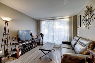 Photo 10: 302 2020 11 Avenue SW in Calgary: Sunalta Apartment for sale : MLS®# A2004617