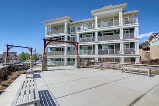 Photo 45: 419 130 Auburn Meadows View SE in Calgary: Auburn Bay Apartment for sale : MLS®# A2133523